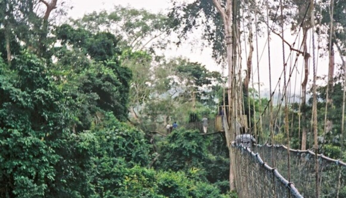 Ghana Park